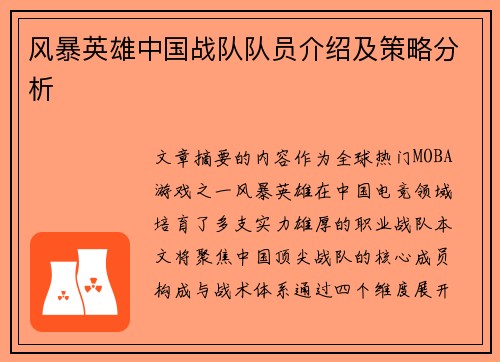 风暴英雄中国战队队员介绍及策略分析