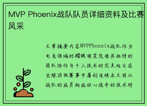 MVP Phoenix战队队员详细资料及比赛风采