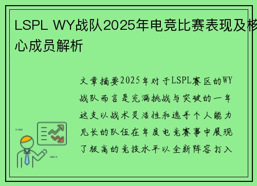 LSPL WY战队2025年电竞比赛表现及核心成员解析